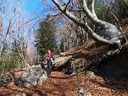 MONTE SUCHELLO (1541 m), fiorito in basso , innevato in alto, da Costa Serina il 19 marzo 2026  - FOTOGALLERY